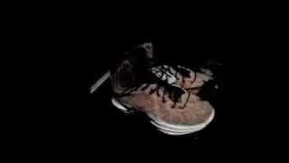 Lebron Cork 10s: February, $100