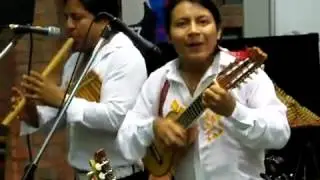 SISAY Dime porque