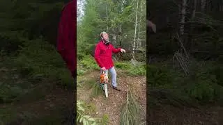 I need a better chainsaw #shorts #offgrid #offroad #forest#woods #farm