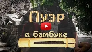 Пуэр в бамбуке.Тест - обзор Шу Пуэра в бамбуке. Погружение в чай