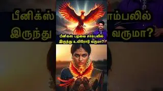 சாம்பலில் இருந்து உயிரோடு வருமா? | Phoenix bird #tamilguru #tamilinformation #naveenbharathi