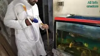 fish aquarium tank wash just 15 minutes #fish #aquarium #wash