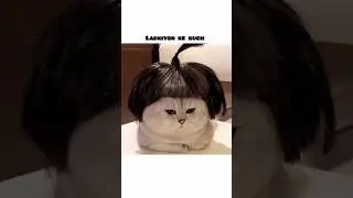 ✨kar dia na impress😜#2026 #cat #new #funny #subscribe #cute #comedy #viral #memes #ytshorts #shorts