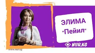 ЭЛИМА - ПЕЙИЛ NUR.KG