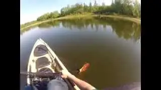 Fly Fishing at Muir Lake