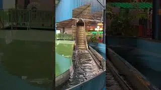 🎢Kinderstad Heerlen🎢Netherlands