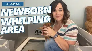 Where do new puppies sleep? A look into their new world!