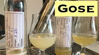 Gose de Caju e Gose de Cambuci - Do amigo Douglas Lins