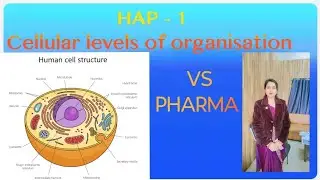 Lecture -6 /  HAP/ cellular level of organisation ( cell ) 