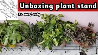 Unboxing of Plant Stand/Meesha Unboxing/ affordable Plant stand/Pot stand for my indoor plants