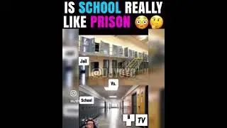 #bus
