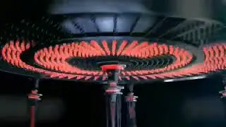 1 year of  Team Serial Bulb