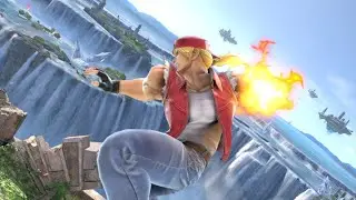 ARE YOU OK?|A normal montage of Terry.