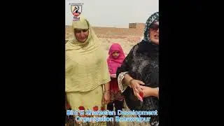 amazing story of handpump 454