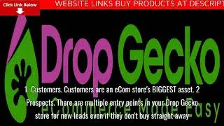 Gecko Mail Monthly Subscription Full Review + Demo &ndash; DISCOUNT Code 50% Off Promo + Activator