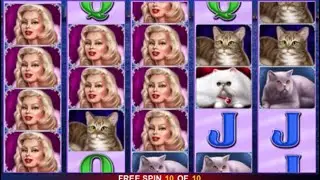 100 Cats - Egt Slot - Free Spins