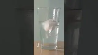 Time Lapse Demo: Melting Ice Does NOT Change Water Level