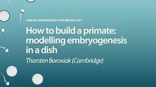 &lsquo;How to build a primate: modelling embryogenesis in a dish&rsquo; (Thorsten Boroviak)