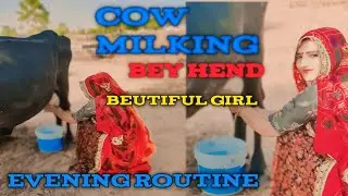 Cow Milking | Village Life Vlog 🐄🐄🐄🙏
