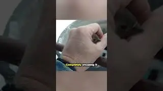 Мужчина спас птицу, замерзшую на столбе... 🥲