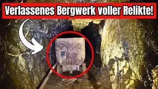 😱 Сюрпризная находка! Реликвии в скрытой шахте под лесом!
