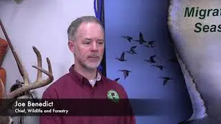 2021-22 Migratory Gamebird Season and Regulations Preview