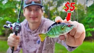 I tested the CHEAPEST Swimbaits at Academy