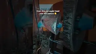 Exploring this abandoned museum