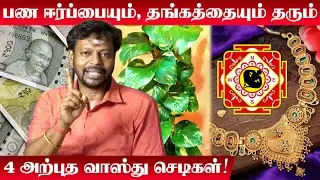 வீட்டில் பணமும், தங்கமும் சேர வளக்க வேண்டிய 4 அற்புத வாஸ்து செடிகள் | Mayan Senthil | Vastu Plants