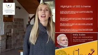 What is Service Export from India Scheme(SEIS)