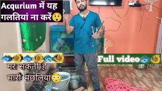 Fish tank में गलतियां तो मर सकती है मछलियां। Full video cleaning, change water, safety.