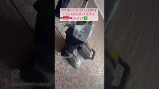 MOVE- OUT Deep CARPET CLEANING FOR A 4 bedroom house in Calgary