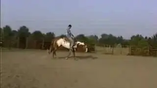 Sensational Sister