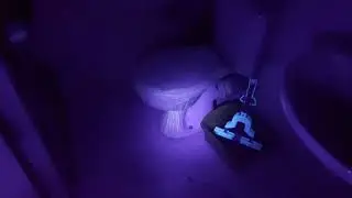 ФЕНЕР VARTA UV Light 395-400 nm за пръстови отпечатъци, остатъци от мръсотия или урина от домашни