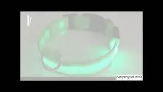 Safety LED Collar with Flashing Light for Dogs