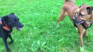 IMG 33501