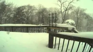 Snowzilla - Timelapse of snowfall in Loudoun County - January 2016