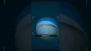 True Fear In Wailord's Eyes | #pokemon #pokemonsnap #newpokemonsnap #wailord