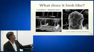 Edema/Lymphedema: May 7 (Full)