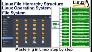 Linux File System : / (Root), /bin, /boot, /dev, /etc, /home, /lib, /media, /mnt, /opt, /sbin, /srv