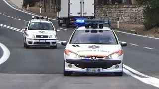 [WAIL/SONORA] Puegeot 206 SW Ambulanze Veterinarie Val Nervia + Fiat Punto III Serie AVI in sirena!