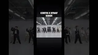 imagine a skz x cortis collab #kpop #straykids #cortis #stay #coer