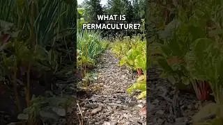What is Permaculture?
