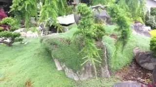 Japanese Style Garden