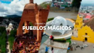 ESTOS SON LOS NUEVOS 