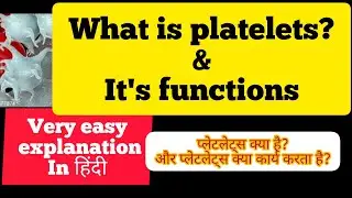 What is platelets & it's functions?#youtube#education#onlineeducation#easyeducation#easyexplaination
