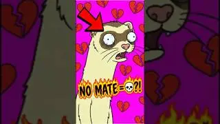 This Cute Animal Has a Deadly Secret!