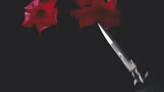 Discipline (OD Edit) - Exponential Decay of the Visual Memory [Edit Mix]