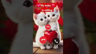 My baby is calling llMl teliphone sound effect ll #calls #cat #reels #ytshort ...