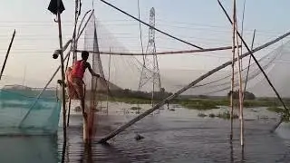Awesome Khora Fishing video 🤔 Fishing with a Giant Net fishing🌹Unbelievable net fishing